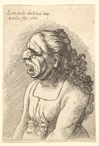 Buste af kvinde med vidt åben mund og langt krøllet hår, der falder over hendes skuldre, iført..., 1665. af Wenceslaus Hollar