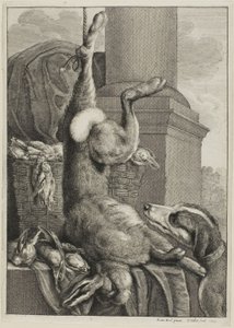 Død Hare af Wenceslaus Hollar