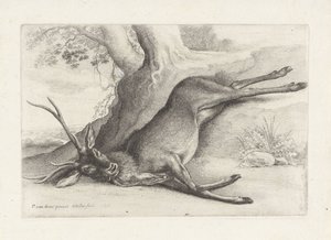 skudt rådyr Jagt, jagthunde og vildt (serietitel) af Wenceslaus Hollar