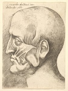 Ecorche leder af en mand i profil til venstre, 1660. af Wenceslaus Hollar