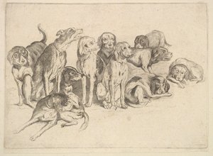 Elleve Hunde, 1625-77. af Wenceslaus Hollar