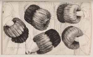 En muffe set på fem forskellige måder af Wenceslaus Hollar