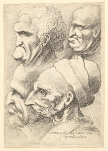 Fire groteske hoveder i profil til venstre, 1625-77. af Wenceslaus Hollar