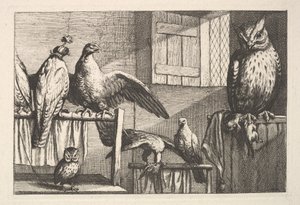 Høge og ugler, 1625-77. af Wenceslaus Hollar