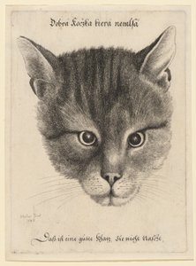  af Wenceslaus Hollar