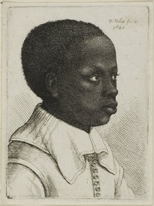 Leder af en ung sort dreng i profil til højre af Wenceslaus Hollar