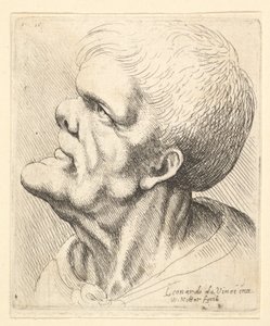 Hovedet af en mand med udstående hage og næse, der ser opad i profil til venstre, 1625-77. af Wenceslaus Hollar