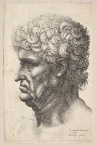 Hoved af en mand med tykt krøllet hår i profil til venstre, 1640-49. af Wenceslaus Hollar