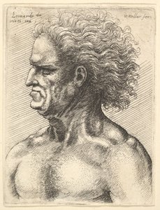 Hovedet af en muskuløs gammel mand i profil til venstre med strømmende hår, 1625-77. af Wenceslaus Hollar