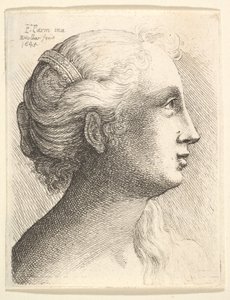 Leder af en ung kvinde i profil til højre, 1645. af Wenceslaus Hollar