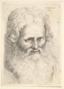 Hoved af en gammel mand med stort skæg af Wenceslaus Hollar