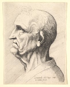 Hoved af en gammel mand med totter af krøllet hår omkring øret i profil til venstre, 1644-52. af Wenceslaus Hollar