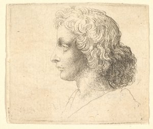 Hoved af ung mand med langt hår i profil til venstre, 1644-52. af Wenceslaus Hollar