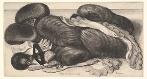  af Wenceslaus Hollar