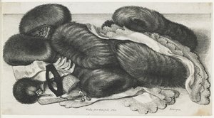 Muffer og beklædningsgenstande på et bord, 1647 af Wenceslaus Hollar