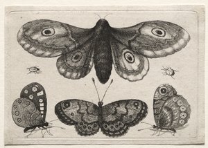  af Wenceslaus Hollar