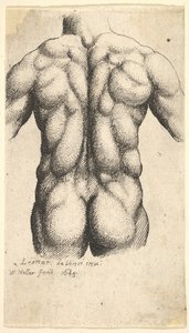 Nøgen mandlig torso set bagfra, 1645. af Wenceslaus Hollar