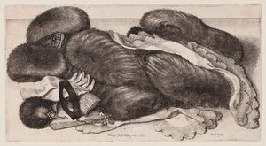 af Wenceslaus Hollar