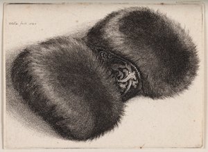  af Wenceslaus Hollar