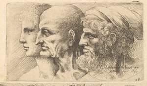 Række af tre hoveder i profil til venstre, 1645. af Wenceslaus Hollar