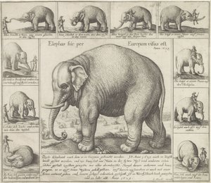 De lugter også En elefant blev set her i Europa (titel på objekt) af Wenceslaus Hollar