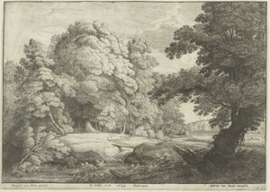 Broen over vandfaldet af Wenceslaus Hollar