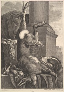 Den døde hare, 1649. af Wenceslaus Hollar