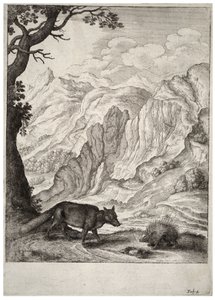 Ræven og pindsvinet. Tilstand 2 af Wenceslaus Hollar
