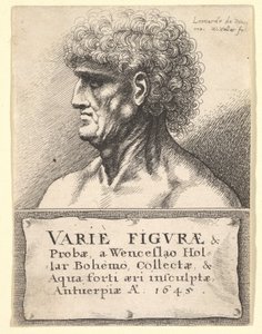 Titelside til Variety of Figures & Probes, 1645 af Wenceslaus Hollar