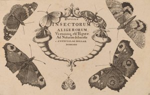 Titelseite von Wenceslaus Hollar