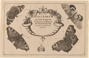 Titel side af Wenceslaus Hollar