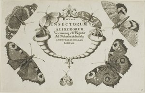 Titelblad fra Diverse Insekter af Wenceslaus Hollar