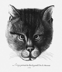 Sandt billede af zaren Alexis I Mikhailovichs kat af Rusland af Wenceslaus Hollar