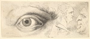To øjne og to hoveder, 1644-52. af Wenceslaus Hollar