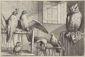 Falke og ugler i en lade Diversae avium arter (serietitel) Forskellige fugle (serietitel) af Wenceslaus Hollar