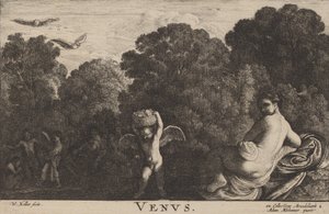 Venus. af Wenceslaus Hollar