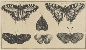 Fem sommerfugle og en møl Forskellige insekter (serietitel) Diversae Insectorum (serietitel) af Wenceslaus Hollar