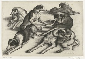 Seks liggende jagthunde Jagt, jagthunde og vildt (serietitel) af Wenceslaus Hollar