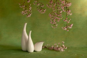 af Wendy Xu