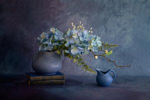  af Wendy Xu