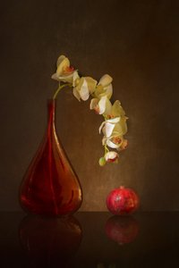  af Wendy Xu