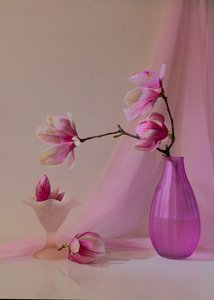  af Wendy Xu