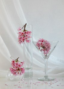  af Wendy Xu