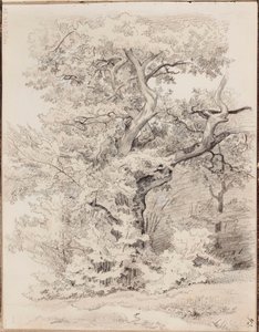Uden titel