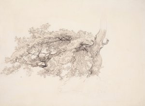  af Werner Holmberg