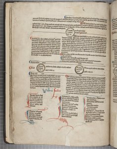 Fol 30 verso
