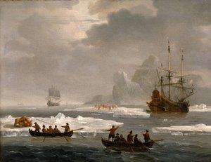 En bjørnejagt i Arktis af Wigerus Vitringa