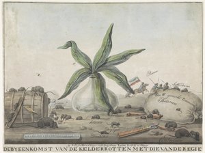 Tegnefilm om franske skikke, 1813-1814 The Gathering of the Basement Rotten med direktørens (titel på objekt) af Wijnand Esser