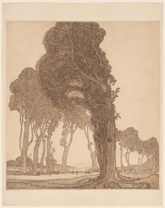 En del af hovedvejen ved dessa Cakranegara (Tjakranegara) på Lombok The Great Road (original titel) af Wijnand Otto Jan Nieuwenkamp