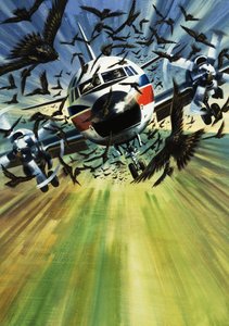 Et passagerfly truet af en flok fugle af Wilf (20th century) Hardy